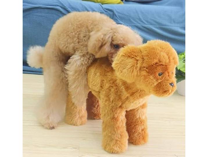 WFXXZL Männlicher Hund Paarungsspielzeug Silikon-Simulations-Begleittier Estrus Puppy Haustier Begleiter Spielzeug Plüsch Vent Hundespielzeug for Rüde Estrus Hund Bulldogge Teddy Hund