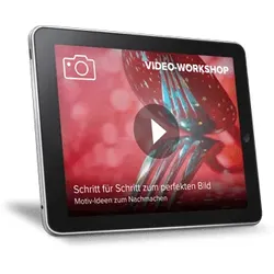 Video-Workshop: Schritt für Schritt zum perfekten Bild