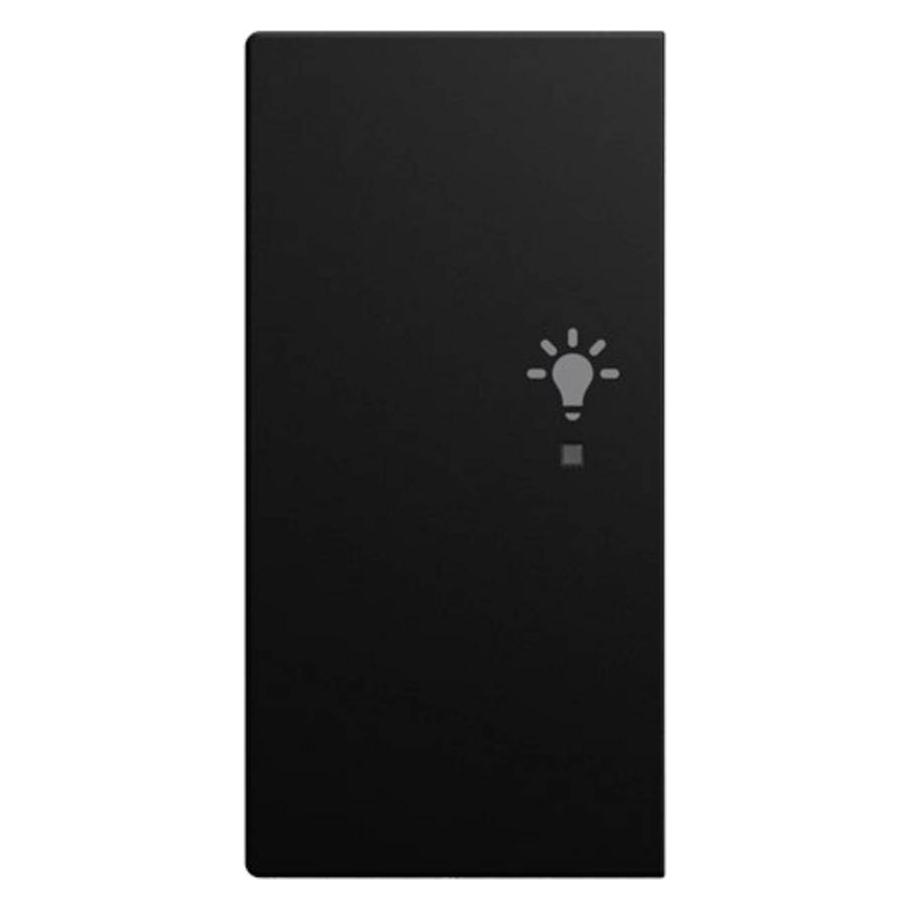 Busch-Jaeger Wippe 2-fach links mit Symbol Licht BUSCH-JÄGER (2CKA006220A1005)