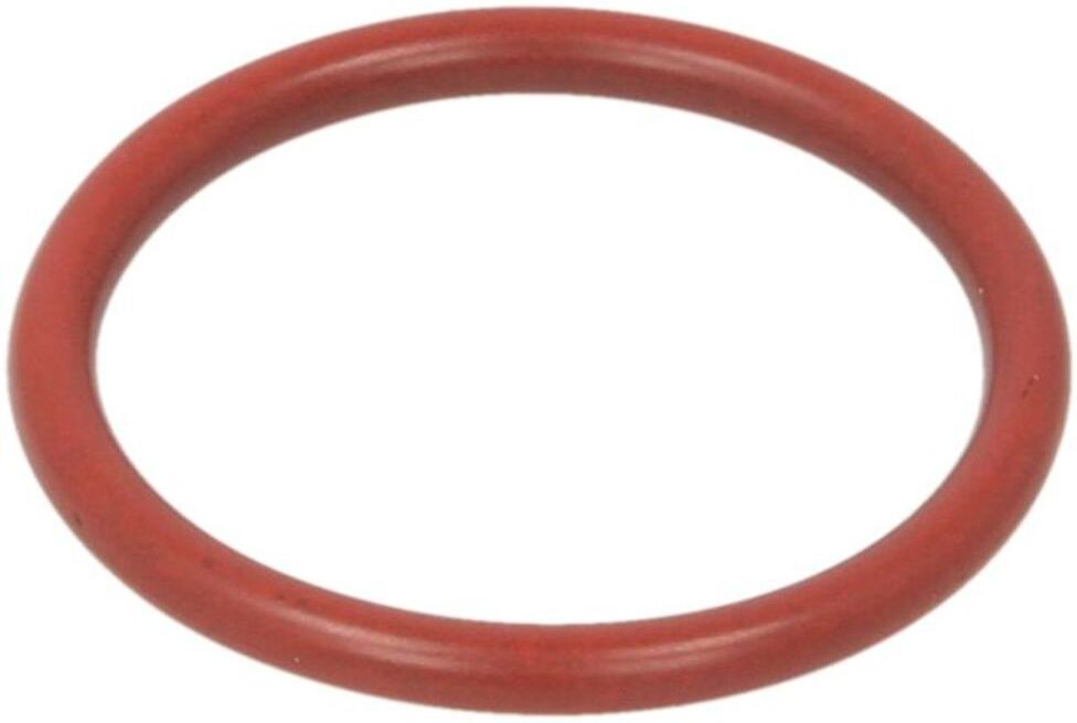 Gummi-O-Rings ZF 0501328488ZF