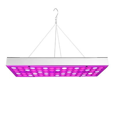 ywxlight Vollspektrum Pflanze Blume LED wachsen Licht LED-Panel Downlight volle Spektrum 25W 75led AC85-265V Pflanzen Blumen Vegetation AC 85-265V