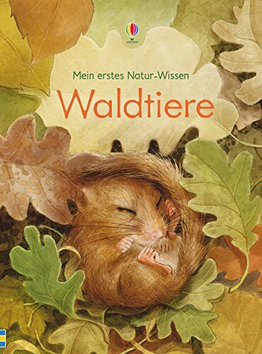 Emily Bone - Mein erstes Natur-Wissen: Waldtiere - Preis vom 14.10.2026 23:07:16 h