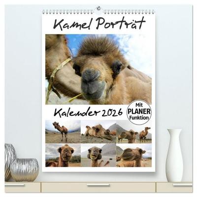 Kamel Porträt (hochwertiger Premium Wandkalender 2026 DIN A2 hoch), Kunstdruck in Hochglanz
