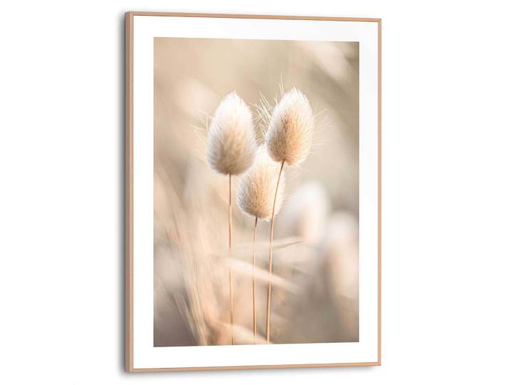 Poster REINDERS Plumes , beige (farbe bild(er): beige), B:30cm H:40cm T:1,6cm, Bilder, Poster, Wohnzimmer - Grasfedern - Beige - MDF - Blumen und Pflanzen - 30x40 cm