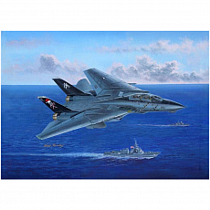 Hobby Boss - F-14B Tomcat - 1:48 - 490 Teile 309613