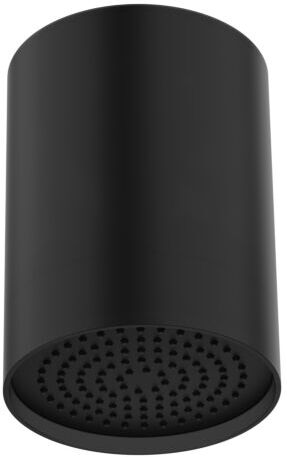 Herzbach LIVING SPA Regenbrause SPOT 11.044288.1.12 102x136mm, Mono, schwarz matt
