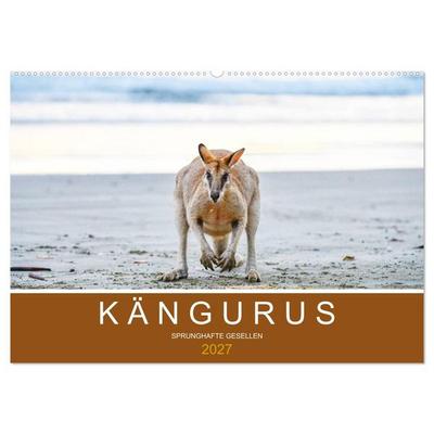 Kängurus, sprunghafte Gesellen (Wandkalender 2027 DIN A2 quer), CALVENDO Monatskalender