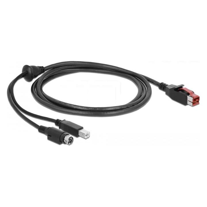 Delock 85488 PoweredUSB Kabel Stecker 24 V (2 m, USB 2.0) (85488)