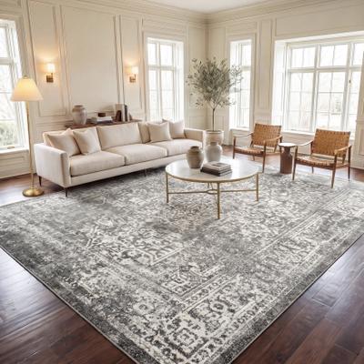 SAFAVIEH Evoke Quinn Vintage Distressed Rug