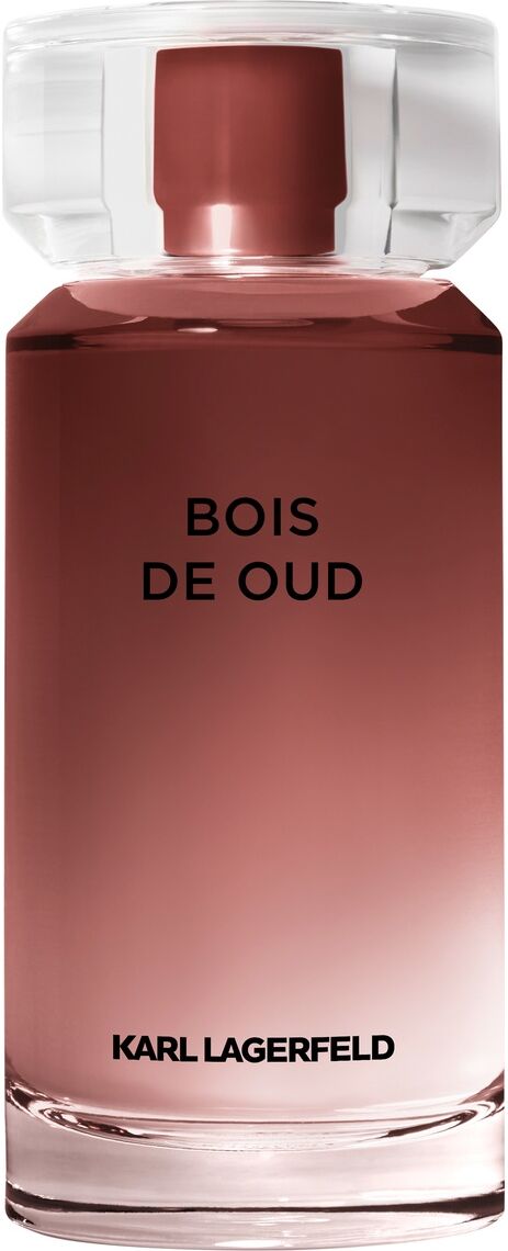 Karl Lagerfeld Bois de Oud EDT 100 ml 100 ml
