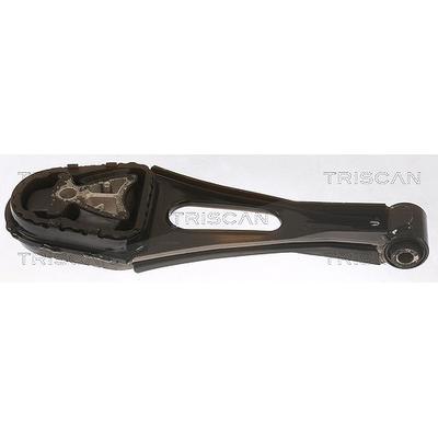 Triscan Lagerung, Motor [Hersteller-Nr. 850516114] für Ford
