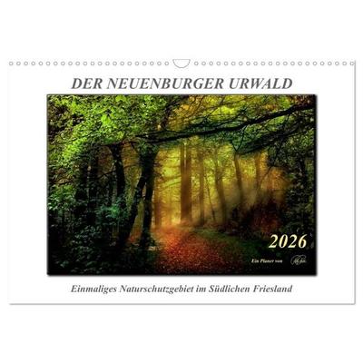 Der Neuenburger Urwald (Wandkalender 2026 DIN A3 quer), CALVENDO Monatskalender