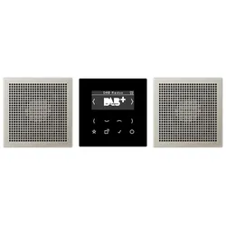 Jung DABES2 Smart Radio DAB+, Set Stereo, Serie LS, Edelstahl DAB ES2
