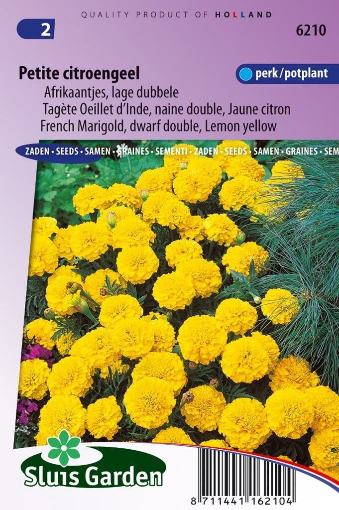 Sluis Garden Tagetes Patula zaden Petite Yellow afrikaantje geel