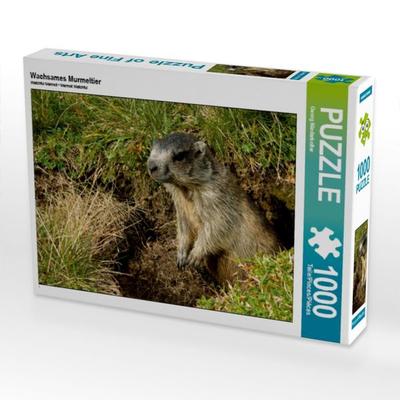 CALVENDO Puzzle Wachsames Murmeltier | 1000 Teile Lege-Größe 64x48cm Foto-Puzzle für glückliche Stunden