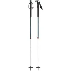 ATOMIC Herren Alpin-Skistock BCT TOURING SQS Dark Green, Größe ONE SIZE in Grau Grau