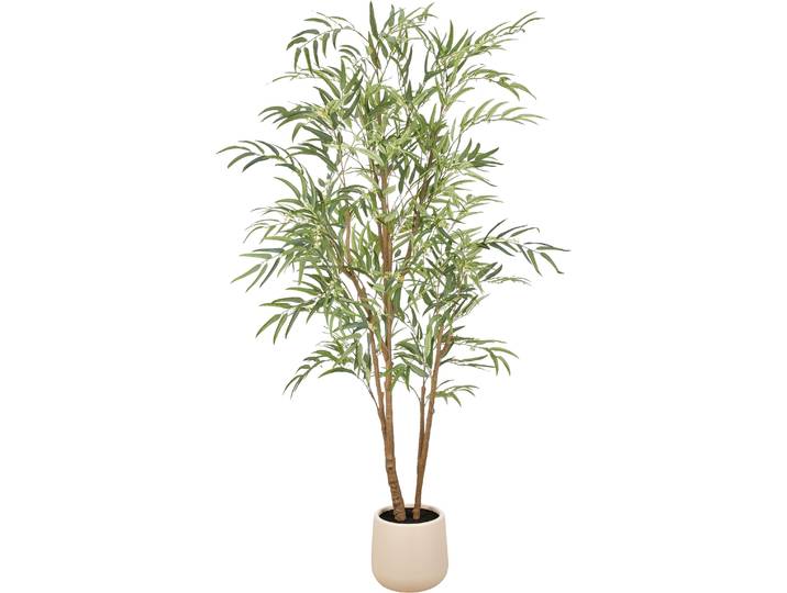 Kunstbaum CREATIV GREEN Elaeagnus angustifolia , grün, H:225cm, Obermaterial: 75% Polyester, 25% Kunststoff, Kunstpflanzen, Kunstbaum, in beeindruckender Größe