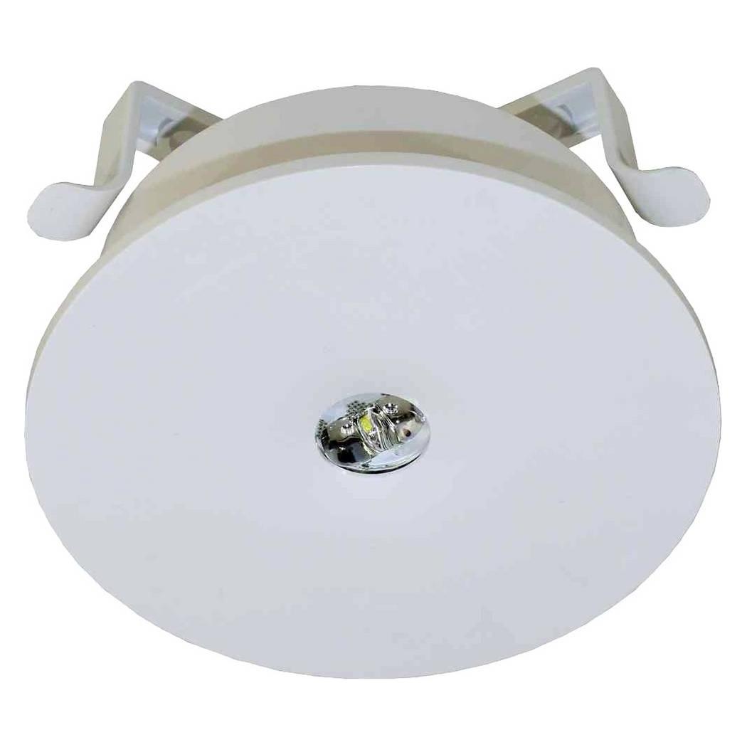 RP Technik ILEF029ML (ILEF029ML)