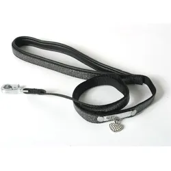Carlain Angel (10, Hund, Allgemein, Spazieren), Halsband + Leine
