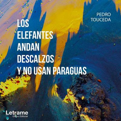 Los elefantes andan descalzos y no usan paraguas - Pedro Touceda, Audio, 9788413866482