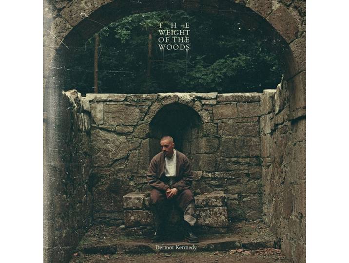 The Weight Of The Woods