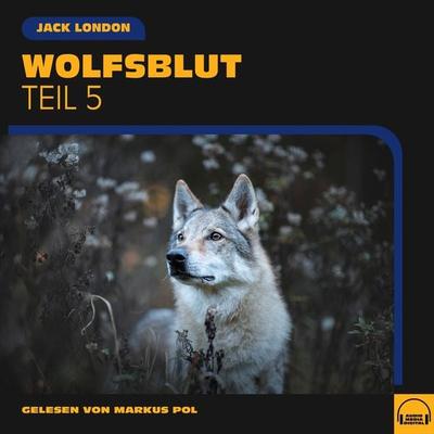 Wolfsblut (Teil 5) - Jack London, Audio, 9783991586685