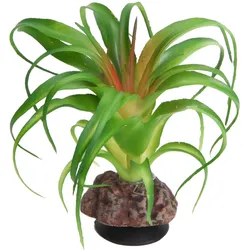 Hobby Terra Succulent 3 - Höhe 10cm