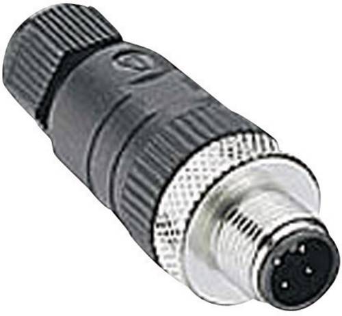 Lumberg Automation 108644 Sensor-/Aktor-Steckverbinder, unkonfektioniert M12 Stecker, gerade Polzahl Sensoren: 4 1St.