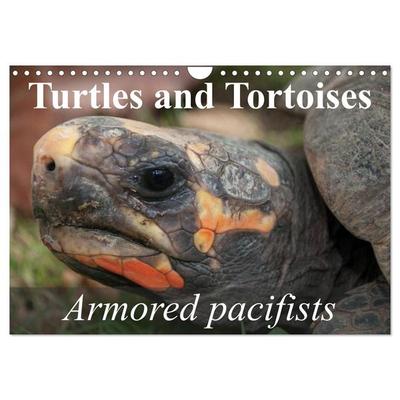 Turtles and Tortoises - Armored pacifists (Wall Calendar 2026 DIN A4 landscape), CALVENDO 12 Month Wall Calendar