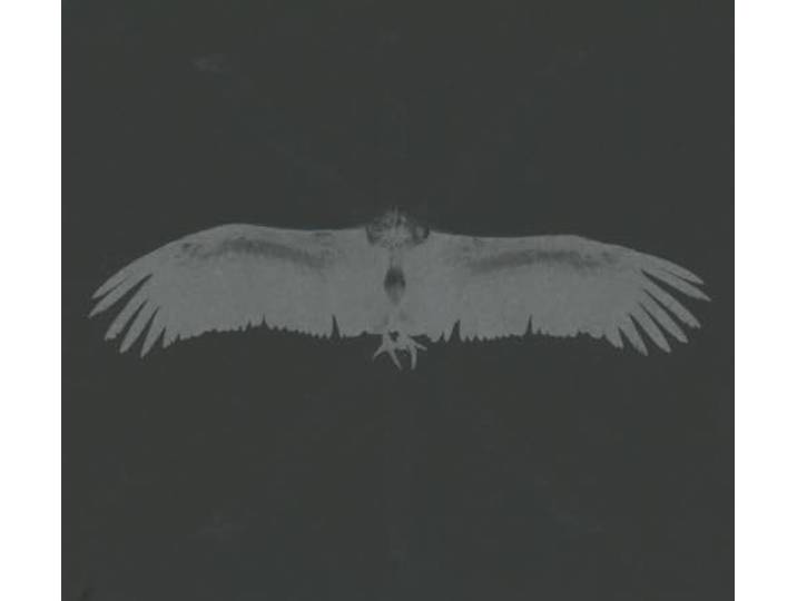 Echtra - Sky Burial