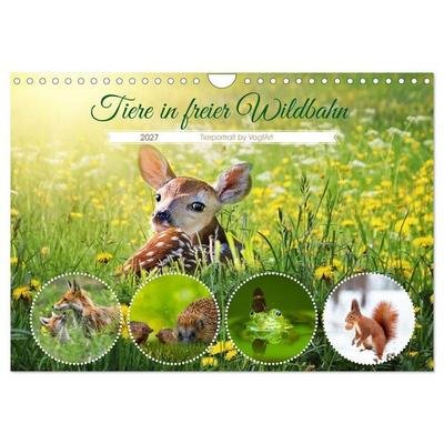 Tiere in freier Wildbahn by VogtArt (Wandkalender 2027 DIN A4 quer), CALVENDO Monatskalender