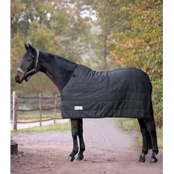 Unterdecke WA Thermo 200g black 135