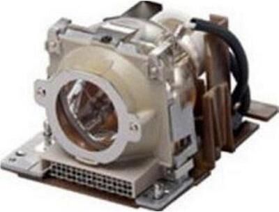 AL™ Series 10185460 Lamp & Housing for Casio Projectors - 90 Day Warranty