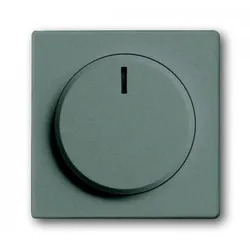 Busch-Jaeger 6540-803-102 Zentralscheibe mit Drehknopf Bef.-Mutter und Glimmlampe