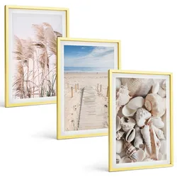 BILDER SET 3er Set - 40x60 cm Goldrahmen - Strandmuscheln Seegras