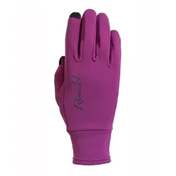 Handschuhe RK Weldon Polartec New