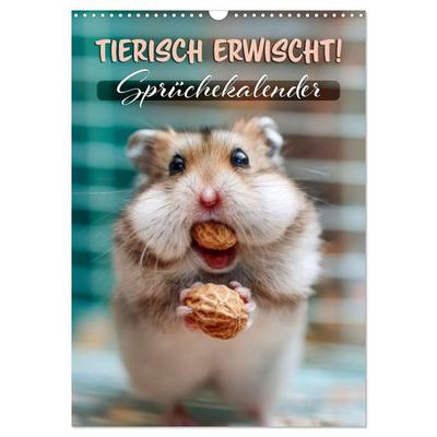 Tierisch erwischt (Wandkalender 2026 DIN A3 hoch), CALVENDO Monatskalender
