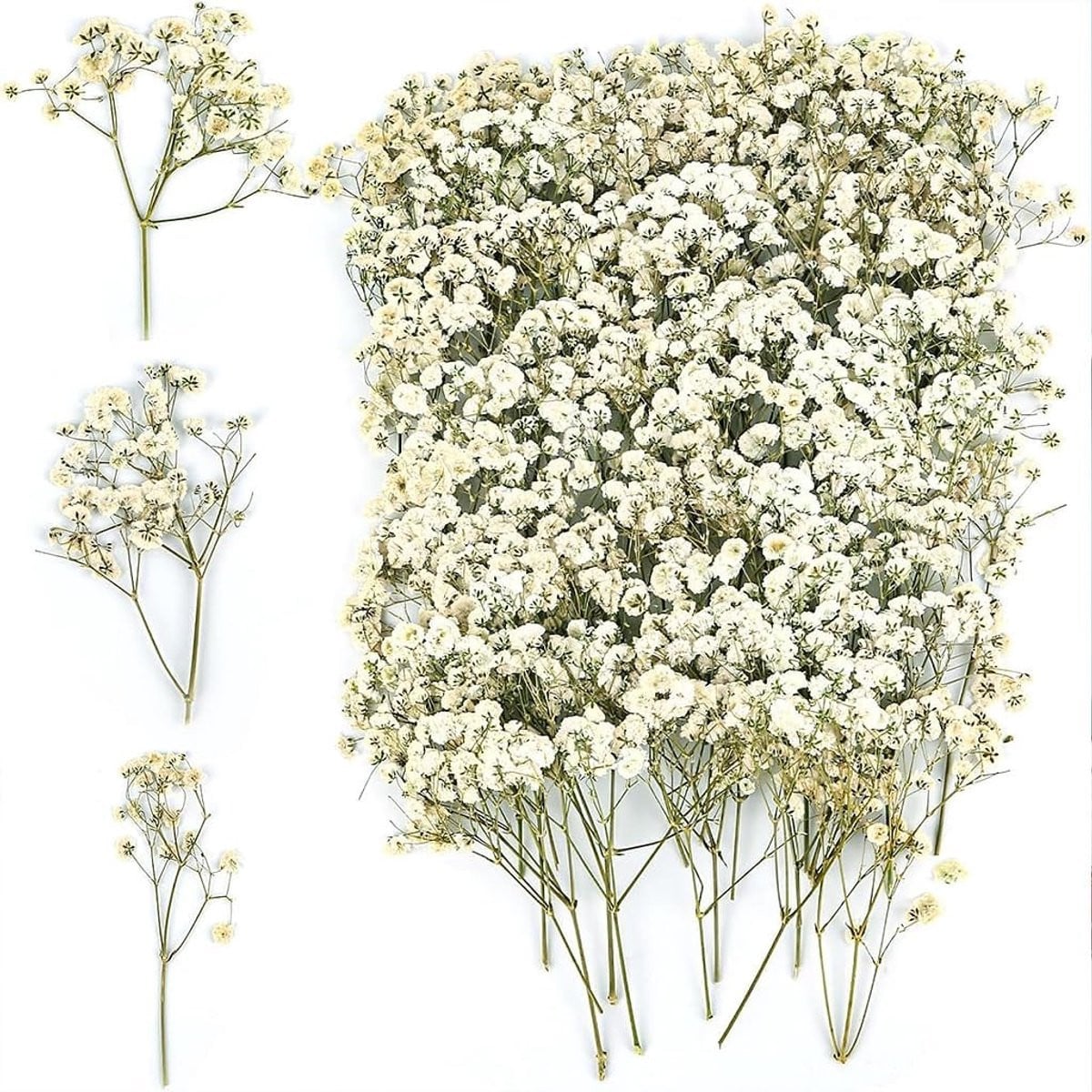 100 Stuks Gedroogde Gypsophila Bloemen, Natuurlijke Witte Mini Boeketjes voor Decoratie en Bruiloften