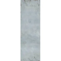 HÜPPE EasyStyle Wandverkleidung 100 × 255 cm, ES010142Q, Farbe: Metal light grey
