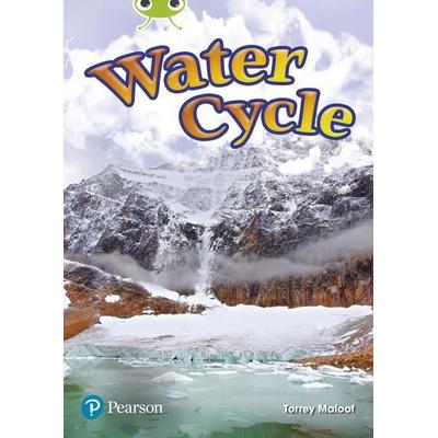Bug Club Independent Non Fiction Year Two Lime Plus Water Cycle, Taschenbuch von Torrey Maloof, Pearson ELT, 978-0-435-19482-6