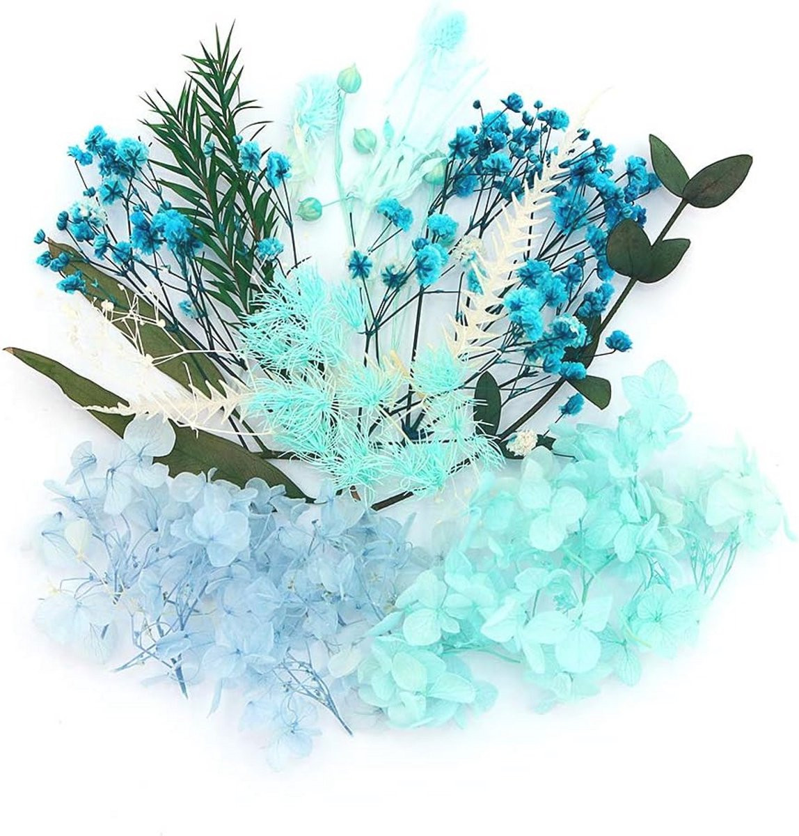 Geconserveerde Kunstbloemen voor Decoratie en Knutselen