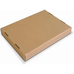 Dinkhauser Kartonagen, Versandkarton + Versandbox, ColomPac Modulbox CP 080.08, 305 x 210 x 91 mm, 20 Stück (20 Stk., 21 x 30.50 x 9.10 cm)