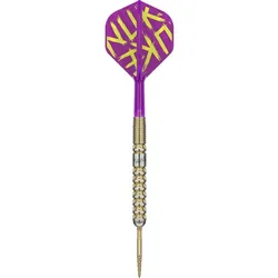 Target Luke Littler G1 Prodigy - Steeldarts