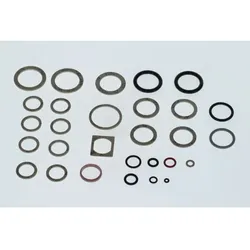 Bosch Dichtungssatz 87101035110 für Gasheizkessel