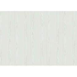 ter Hürne Decor Edition Dekorpaneel strukturiert Paneel Softprofil UniqueDesign Esche perlmuttweiß 1300x250x12 mm