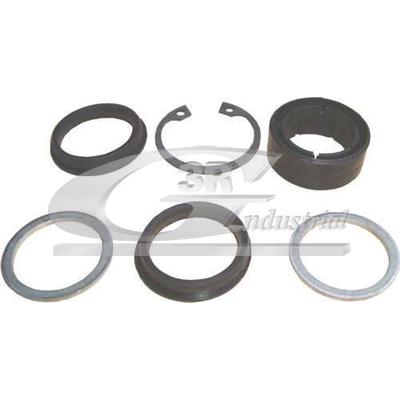 3RG Buchse, Lenkwelle 80613 für RENAULT