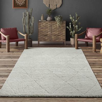Teppich THE CARPET "Bahar Shaggy", beige (creme), B:80cm H:30mm L:150cm, Polypropylen, Teppiche, Teppich