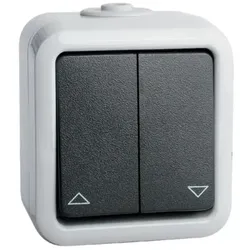 Peha Doppel-Taster 10A 250V gr D 629 T WAB
