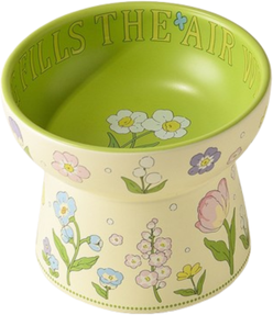 The Handy Homestead Green Rabbit Ceramic Cat Bowl With Elevated Non Slip Base style 2