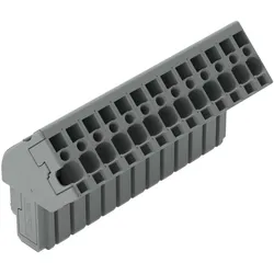 WAGO GmbH &amp; Co. KG 1-Leiter Federleiste 769-113/022-000